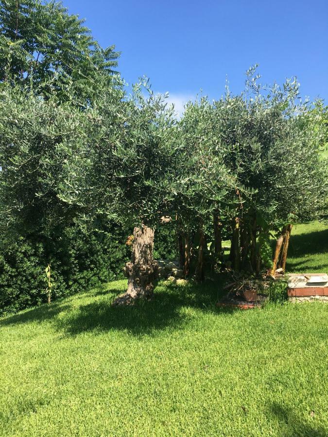 Una Finestra Sul Mare 奥古斯塔 外观 照片
